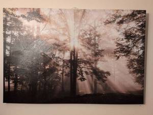 lot 148 image: Forest  Canvas Wall Art