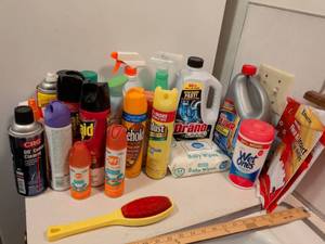 lot 283 image: Household Cleaning Products Collection
