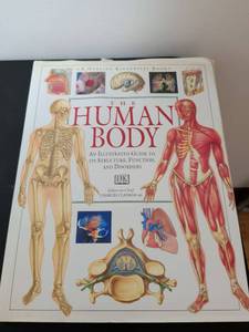 lot 366 image: DK The Human Body An Illustrated Guide