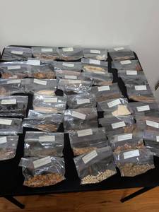 lot 377 image: Traditional Chinese Herbal Medicine Collection