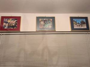 lot 536 image: Nature Photography Print Set in Gold Frames