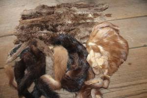 lot 3815 image: Vtg. Rabbit Pelt and More