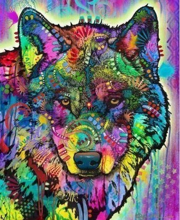 lot 12698 image: Dawhud Direct Fleece Throw Blanket 50x60 Spirit Wolf