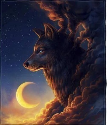 lot 12702 image: Direct Golden Moon Wolf Fleece Blanket - 50 x 60 Inches Soft Wolf Plush Throw Blanket for Adults and Kids - Cozy Winter Wolf Blanket for Bed or Couch -