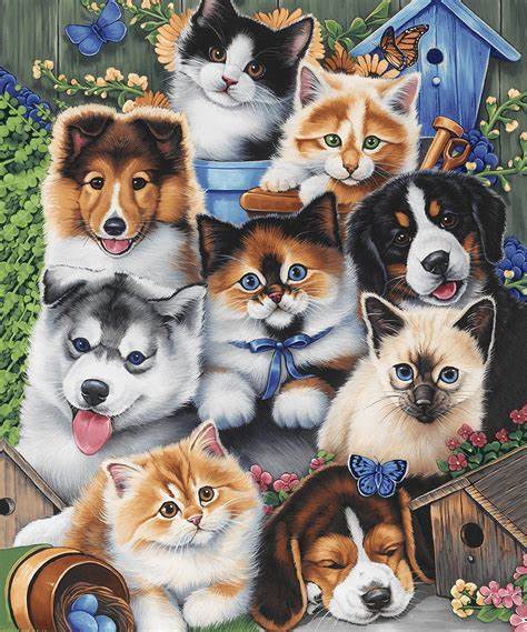 lot 12709 image: 50x60 Inches Throw Blanket for Kids and Adults - Soft Plush Fleece Blanket for Bed, Couch, or Travel - Cat Lovers Blanket, Machine Washable