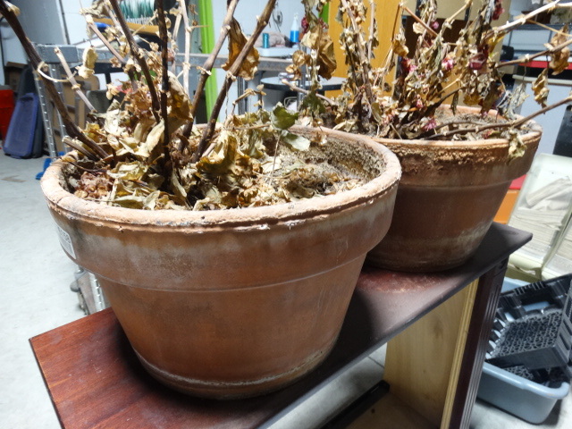 lot 6158 image: 2 Matching flower pots.