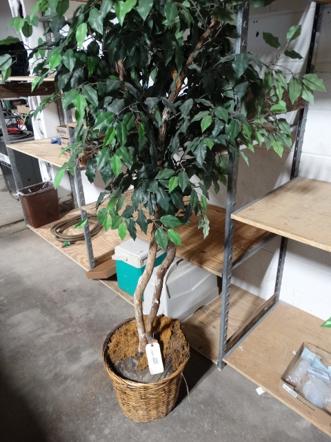 lot 6283 image: Faux plant tree.