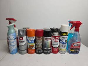 lot 314 image: Mixed Lot of Spray Paint and Cleaning Supplies- All Partial Cans