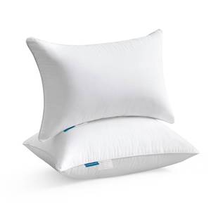 lot 59732 image: Oubonun 12 x 20 Lumbar Pillow (Set of 2) - 100% Cotton Cover - Rectangle Square Sofa Pillow Inserts - Decorative Pillow Pair - White Couch Pillow - Retail $25