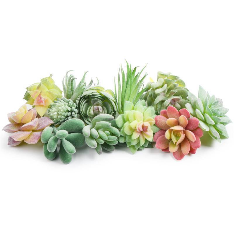 lot 21282 image: HappyHapi 12 Pcs Artificial Succulents Mini Fake Plants Unpotted Faux Succulent for Craft, Small Plastic Succulents Assortment in Flocked Green Floral Decor for Party, Cake, Garden & Outdoor - Retail $14