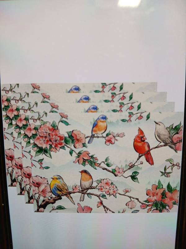 lot 32595 image: Watercolor Flowers Cardinals Spring Placemats 12 x 18in Set of 4