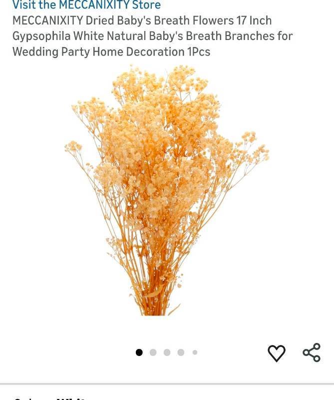 lot 40378 image: Natural Dried Babys Breath Flowers Bundle - Retail $8