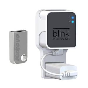 lot 16276 image: 256GB Blink USB Flash Drive & Wall Mount for Blink Sync Module 2 with Short Cable - Save Space - No Messy Wires - Easy Move Mount Bracket Holder for Blink Outdoor Indoor Security Camera (1 Pack) - Retail $19