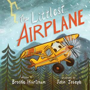 lot 16401 image: The Littlest Airplane - Retail $12