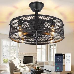 DLLT Caged Ceiling Fan with Light: 20\" Farmhouse Fandelier with Lights and Remote & APP - Black Rustic Semi Flush Mount Bladeless Ceiling Fans Enclosed Fan for Bedroon Kitchen Living Dining Room - Retail: $56