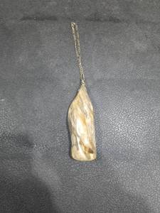 lot 4002 image: Petrified Wood Pendant
