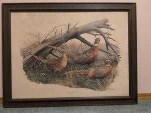 Arthur Singer Ring-necked Pheasant Print