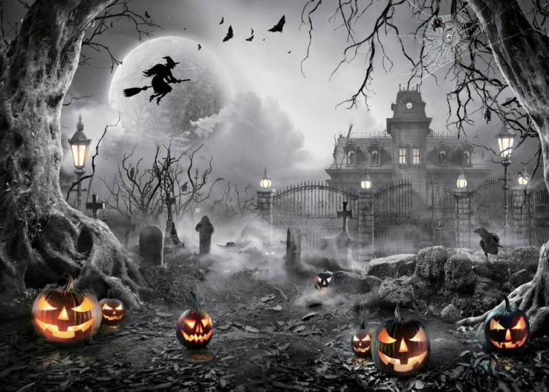 lot 55684 image: SJOLOON Halloween Backdrop 12644