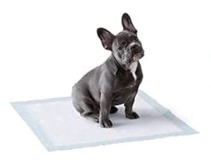 lot 69987 image: Puppy Pads - Retail $20