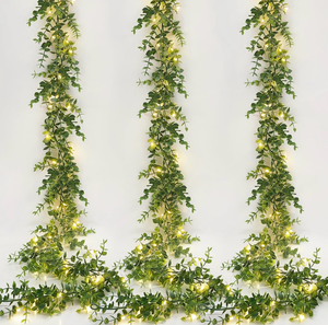 lot 70021 image: Dolicer 2 Packs Eucalyptus Garland with LED Lights - Retail $22