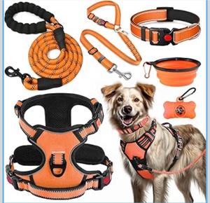 No Pull Dog Harness, Collar & Leash Set - Retail: $25