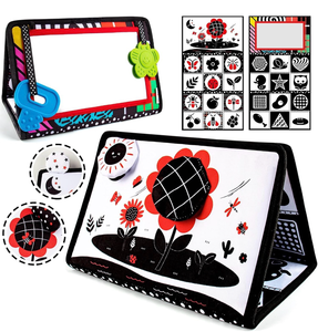 lot 70044 image: Tummy Time Mirror Infant Newborn Toys 0-3 - Retail $10