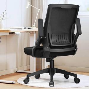 lot 22116 image: GTPLAYER Ergonomic Office Chair with Flip-up Armrests Executive Computer Chair for Home Office, Breathable Mesh & Comfy Lumbar Support, Black
