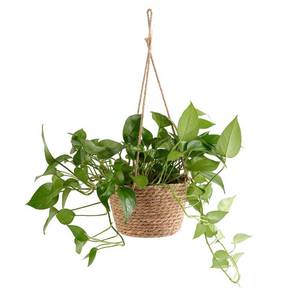 lot 8989 image: WYSRJ 8inch Jute Rope Hanging Planter Woven Plant Basket Macrame Plant Hangers Plant Holder Basket Decorative Storage Baskets for Plants Pots Home Decor