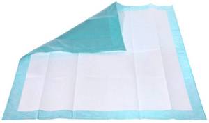 lot 9934 image: Disposable Chux Underpad - Large (10 Count) Size 29.5 x 35.5 Inch - Incontinence Waterproof Pee Pad for Seniors, Adults, Child, or Pets by Buddies