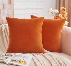 lot 2506 image: GriNeed Throw Pillow Covers Burnt Orange Set of 2 18x18 Inch Fall Pillow Covers, Soft Velvet Farmhouse Neutral Decorative Pillowcases for Couch Sofa Bed, Home Boho Decor, Modern Cushion Covers
