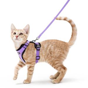 lot 2514 image: rabbitgoo Cat Harness and Leash for Walking, Escape Proof Soft Adjustable Vest Harnesses for Cats, Easy Control Breathable Reflective Strips Jacket, Light Purple, XS