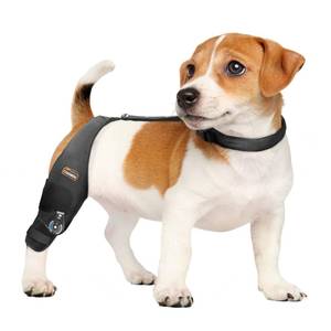 lot 2575 image: CHAMIN Adjustable Dog Knee Brace for Torn ACL Hind Leg, Support for Tear Ligament, Osteoarthritis, Rear Leg Limp, Recovery After Surgery,et(Right Leg,S)