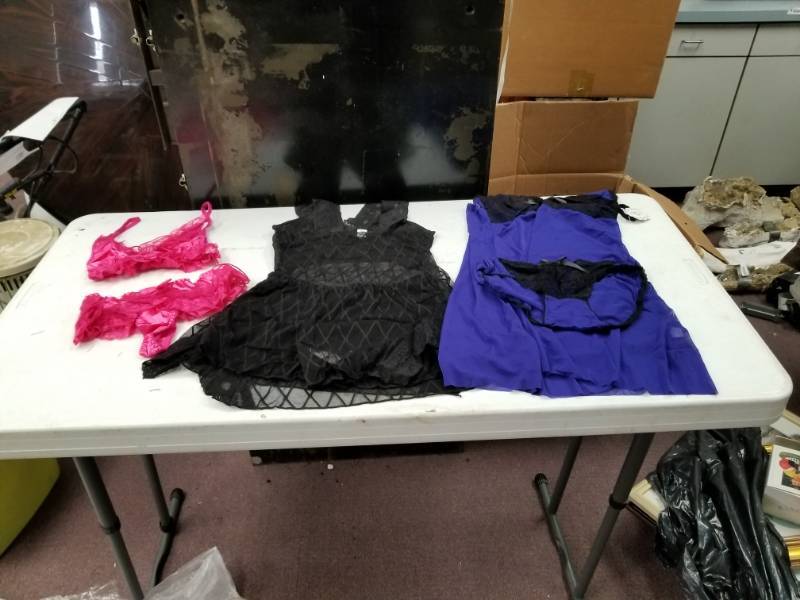 lot 10190 image: Lingerie Lot