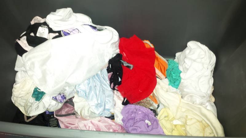 lot 10233 image: Lingerie Underwear Lot