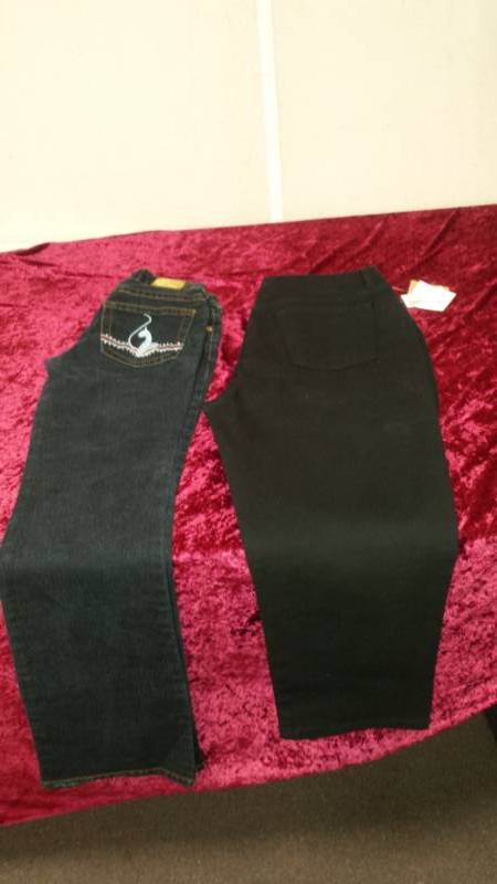 lot 10310 image: Womens Pants Lot