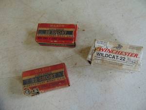 lot 3342 image: Vintage 22 Short and Long Rifle Shells