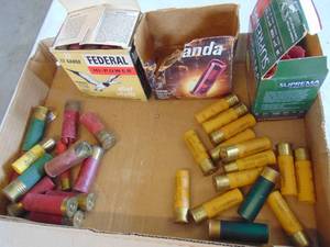 lot 3403 image: Assorted Shotgun Shells