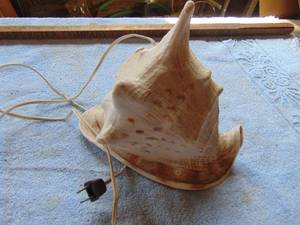 lot 3436 image: Shell lamp