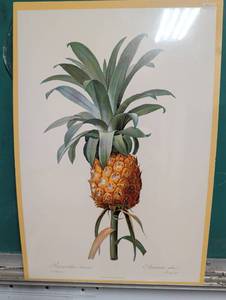 Framed Pineapple Botanical Style Art Print – Tropical Wall Décor
