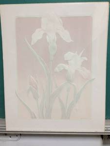 lot 4004 image: Botanical Floral Art Print  Iris Flowers