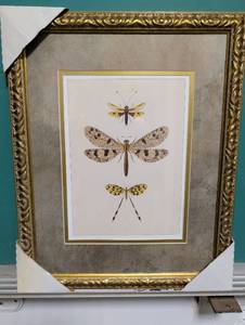 lot 4007 image: Framed Dragonfly Botanical Style Print  Decorative Insect Illustration  Gold Tone Frame