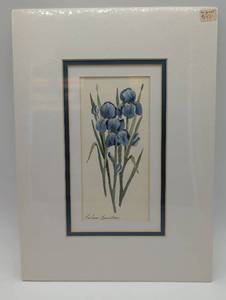 lot 4016 image: Blue Iris Watercolor by Barbara Burnett - Double Matted - Artist Signed