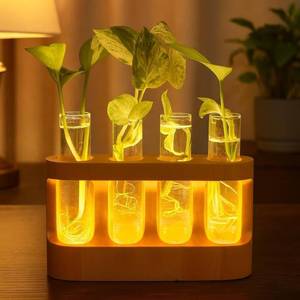 lot 26160 image: Plant Propagation Wooden Stand, unique gift for mom, women, and any plant or gardening lover, 9-Level Dimmable LED Light, 4 Glass Test Tubes Vase for Hydroponic Plants, Desktop, Home decor. - Retail $23