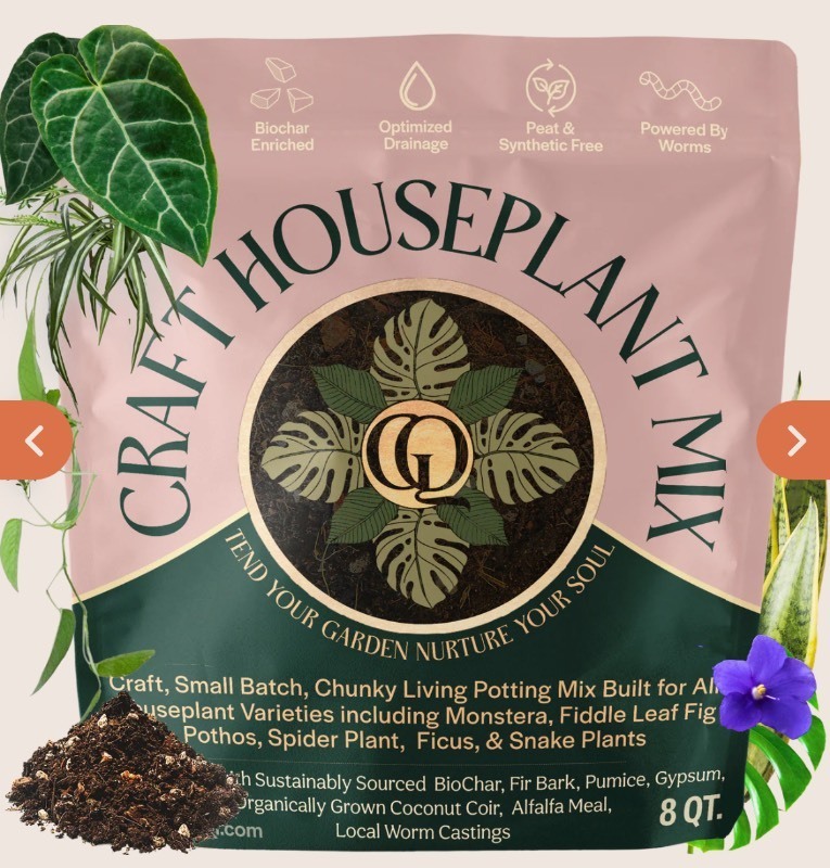 lot 174 image: Craft Houseplant Potting Mix 8Qt Bag