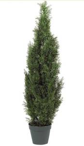 lot 1064 image: Nearly Natural 4ft Faux Cedar Tree in Nursery Planter, UV Resistant Artificial Pine Tree for Outdoor Front Porch Patio Entryway Decor 2 Pack