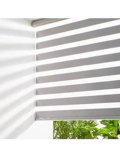 lot 2859 image: Persilux Zebra Shades Cordless Blinds for Windows (22 W x 72 H, Grey) Dual Layer Zebra Roller Shades, Free Stop Sheer Window Treatments for Home, Office, Bathroom
