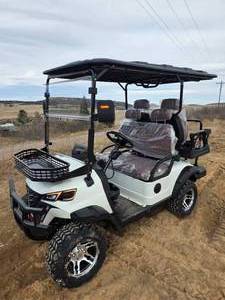 lot 2924 image: SDLANCH SDLGC80 4-Seat Electric Golf Cart  4,000W  50-Mile Range  Fully Assembled