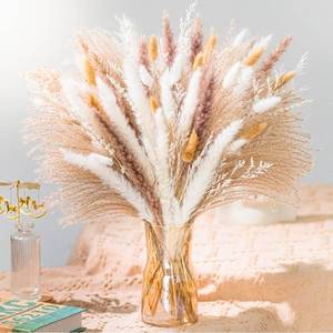 lot 70567 image: Natural Dried Pampas Grass Bundle and Sugarcane Stalks Set - Retail $35
