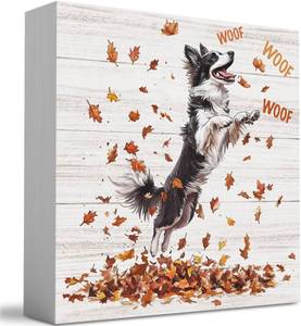 lot 101468 image: Fall Decorations for Home Farmhouse Fall Border Collie Dog Decor Autumn Thanksgiving Decorations for Table Autumn Dog Lover Gifts for Pet Owner 5 x 5 inches  Tub 2501