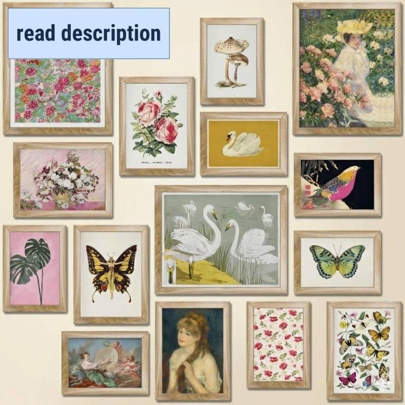 lot 151863 image: LANCHI95 15 Pcs FRAMED Eclectic Wall Decor, Colorful Eclectic Decor, Colorful Art, Girls Room, Vintage Wall Art Prints, Moody Maximalist Bedroom Decorations